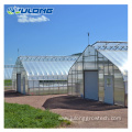 single span plastic film prefabricated sawtooth Greenhouse